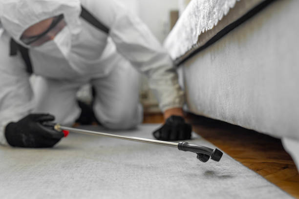 Professional Bed Bug Control technician working in Bayou Vista, TX