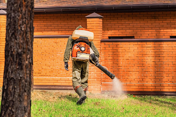 Trusted Termite Control service in Bayou Vista, TX - Nex Pest Control